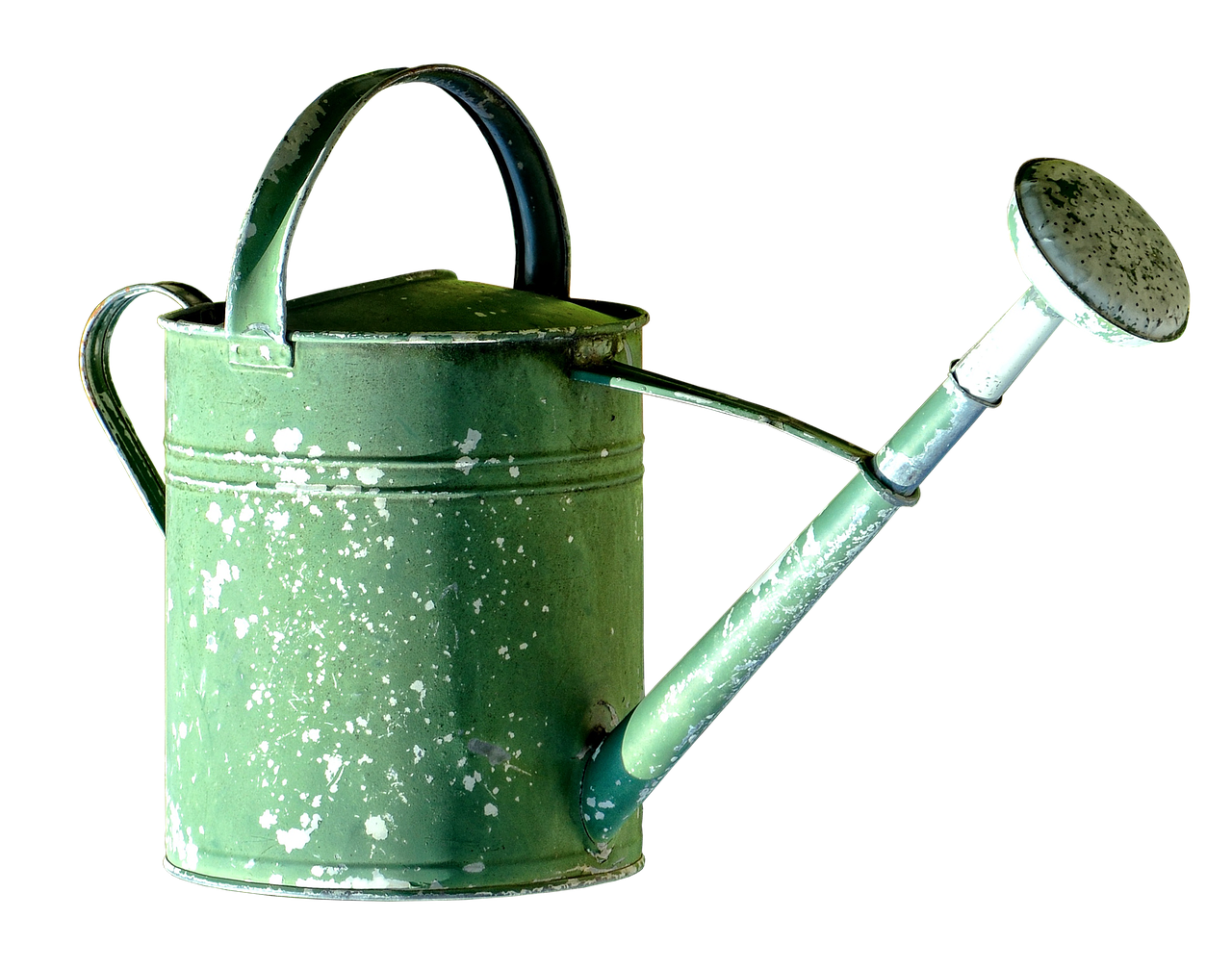 Rimedio naturale per eliminare la ruggine dalle piante, con foglie affette visibili.